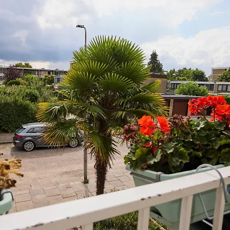 Treehouse 4* Duivendrecht