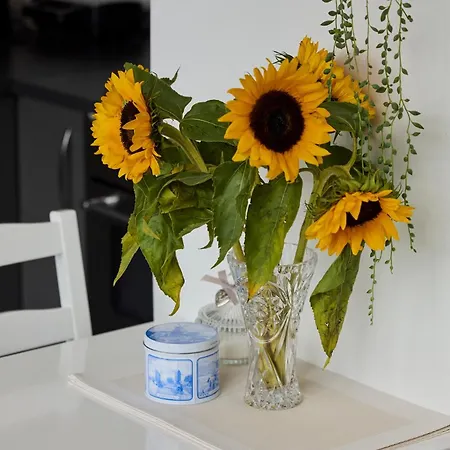 Treehouse 4* Duivendrecht