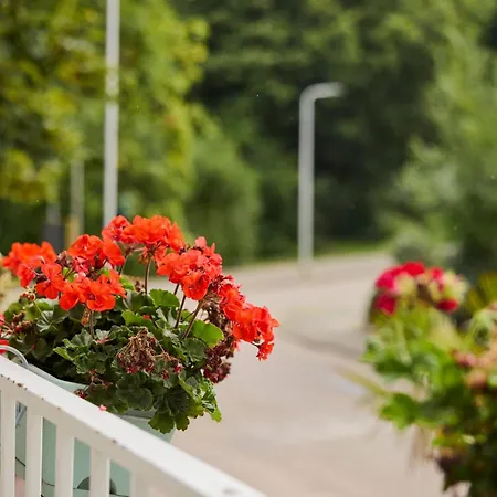 Treehouse Penzion 4*