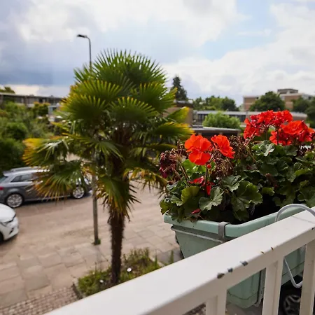 Gasthuis Treehouse Duivendrecht