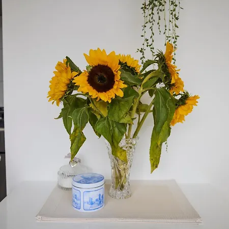 Treehouse Gasthuis Duivendrecht