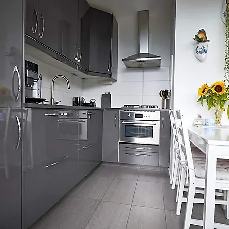 Treehouse Guest house 3*