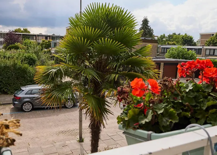 Treehouse 4* Duivendrecht