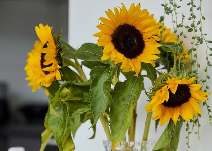 Guest house Treehouse 4*