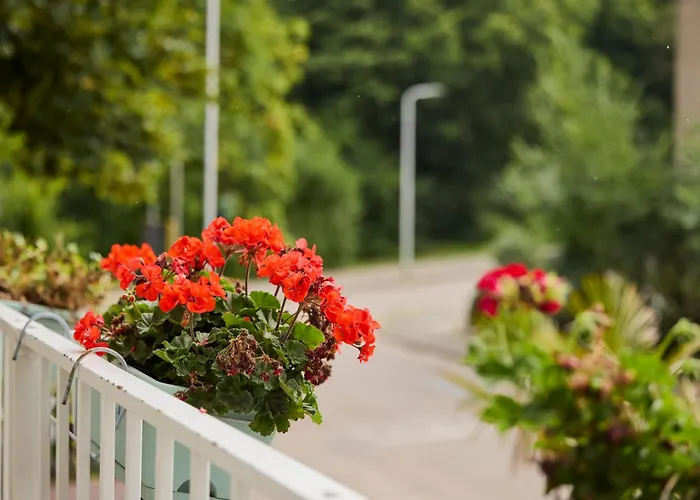 Treehouse Guest house 4*