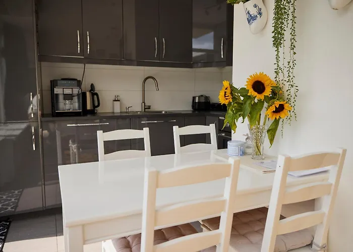 Treehouse Guest house