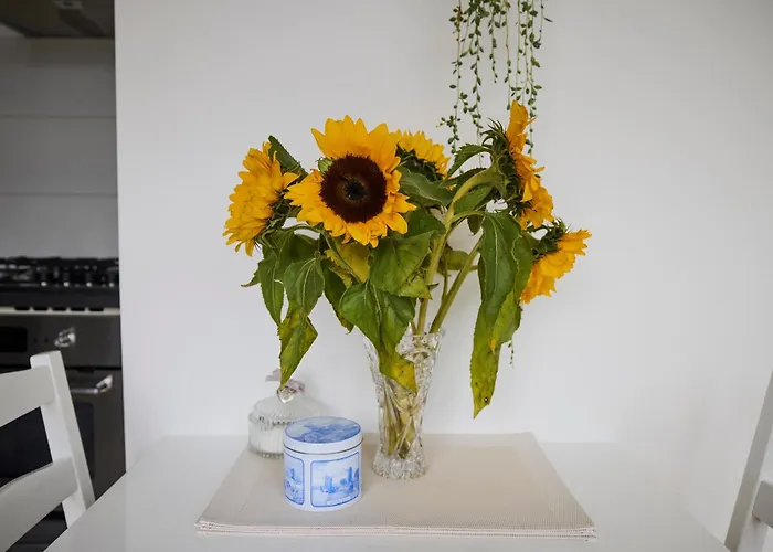 Treehouse Guest house Duivendrecht