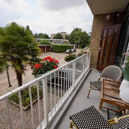 Treehouse 3*