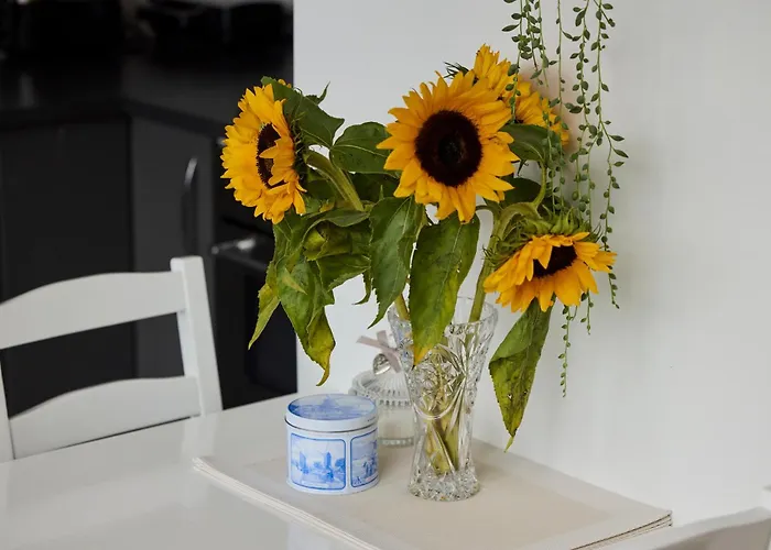 Treehouse 4* Duivendrecht