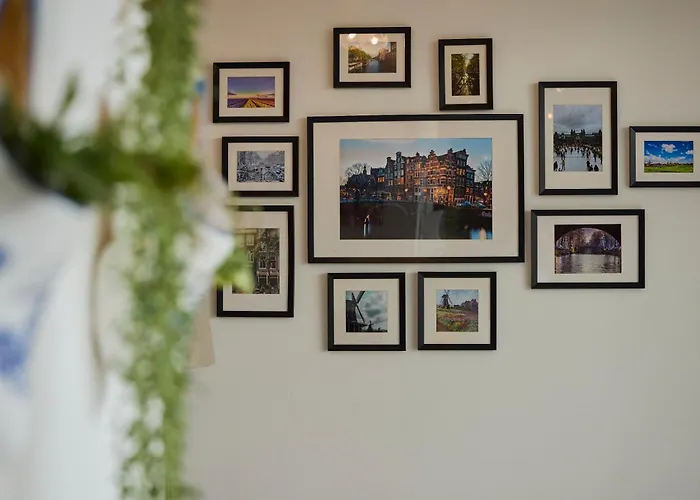 Treehouse Guest house 4*